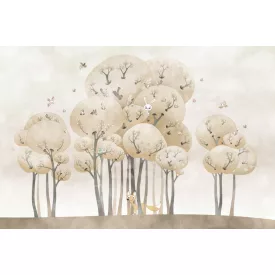 Rimura/ Kids Collection