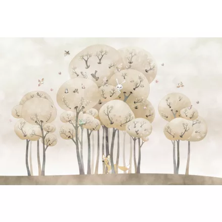 Rimura/ Kids Collection