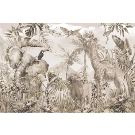 Rimura/ Kids Collection