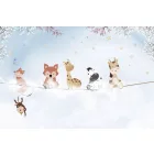 Rimura/ Kids Collection