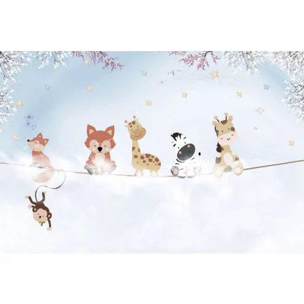 Rimura/ Kids Collection