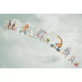 Rimura/ Kids Collection