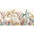 Rimura/ Kids Collection