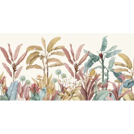 Rimura/ Kids Collection