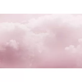 Rimura/ Kids Collection