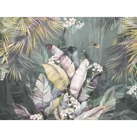 Rimura/ Kids Collection