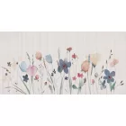 Rimura/ Kids Collection