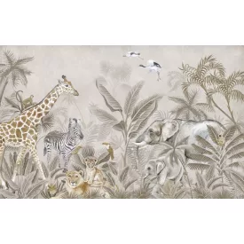 Rimura/ Kids Collection