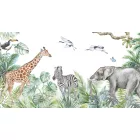 Rimura/ Kids Collection