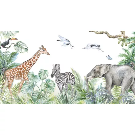 Rimura/ Kids Collection