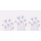 Rimura/ Kids Collection