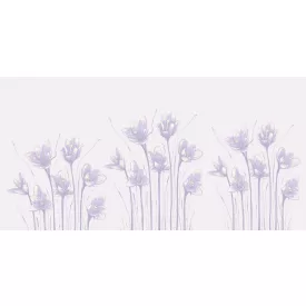 Rimura/ Kids Collection