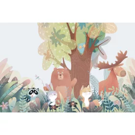 Rimura/ Kids Collection