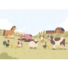 Rimura/ Kids Collection