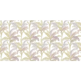 Rimura/ Kids Collection