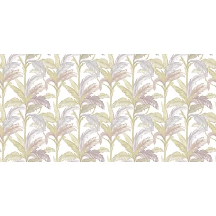 Rimura/ Kids Collection