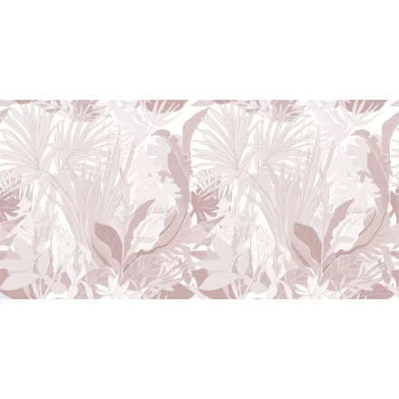 Rimura/ Kids Collection