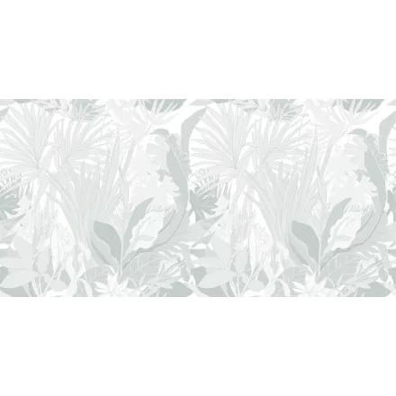 Rimura/ Kids Collection