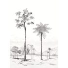 Casadeco / Cuba tapéta