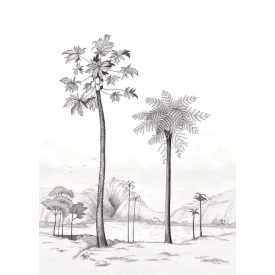 Casadeco / Cuba tapéta