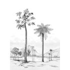 Casadeco / Cuba tapéta