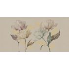 RIMURA / Mida's Gold Collection