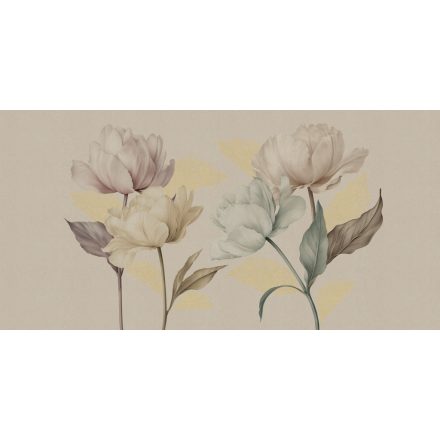 RIMURA / Mida's Gold Collection