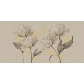 RIMURA / Mida's Gold Collection