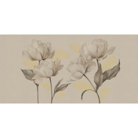 RIMURA / Mida's Gold Collection