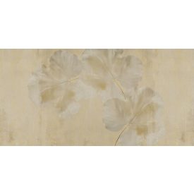 RIMURA / Mida's Gold Collection