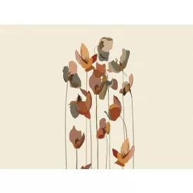 RIMURA / Main Collection