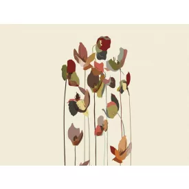 RIMURA / Main Collection