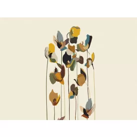 RIMURA / Main Collection