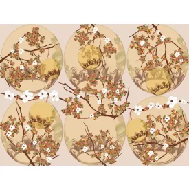 RIMURA / Main Collection