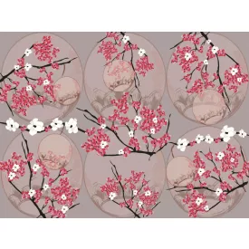 RIMURA / Main Collection