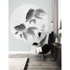 KEK Amsterdam / CK - Kör tapéta