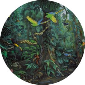 Kek Amsterdam / CK - Kör tapéta