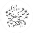 Kek Amsterdam / CK - Kör tapéta