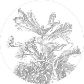 KEK Amsterdam / CK - Kör tapéta