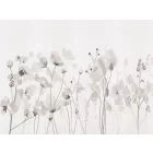 RIMURA / Main Collection