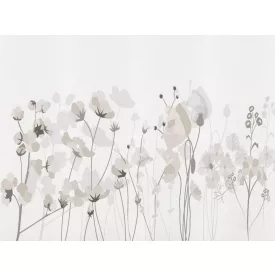 RIMURA / Main Collection