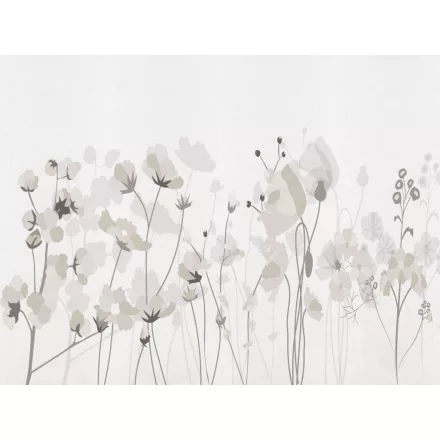 RIMURA / Main Collection