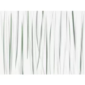 RIMURA / Main Collection