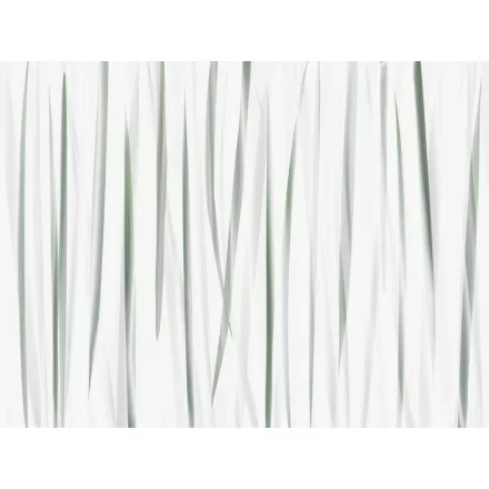 RIMURA / Main Collection