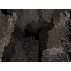 RIMURA / Main Collection