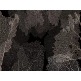 RIMURA / Main Collection