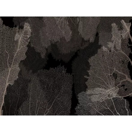 RIMURA / Main Collection