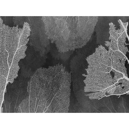 RIMURA / Main Collection