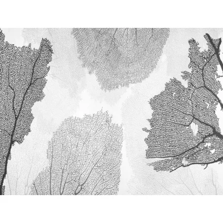 RIMURA / Main Collection