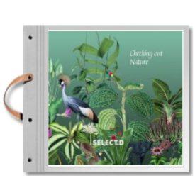 Behang / Checking out Nature tapétakönyv